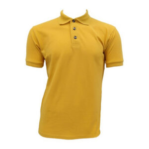 Colour Swatches & Catalog cotton polos 10